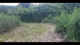 125 public porn videos